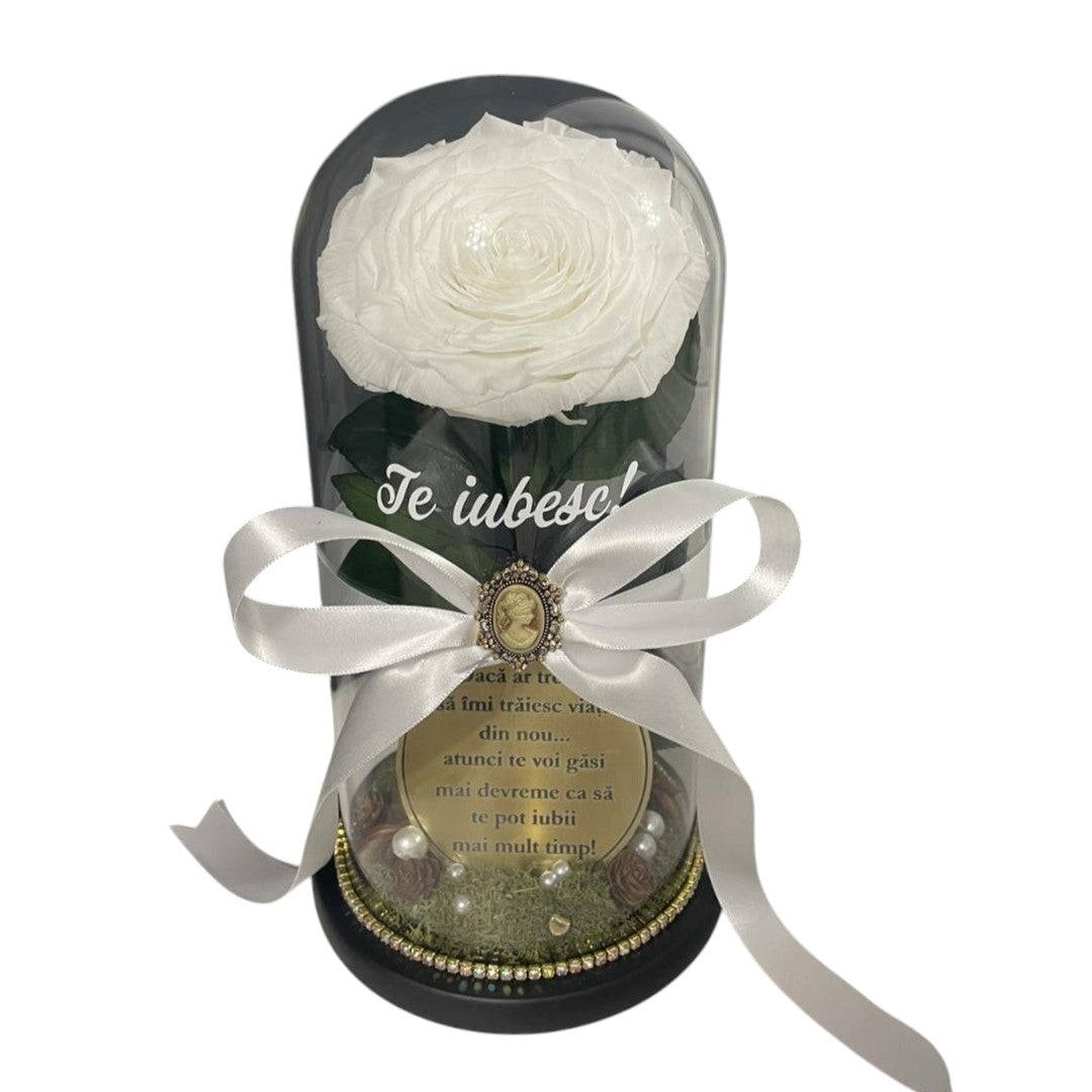 Cupolă de sticlă cu trandafir criogenat alb antique white
