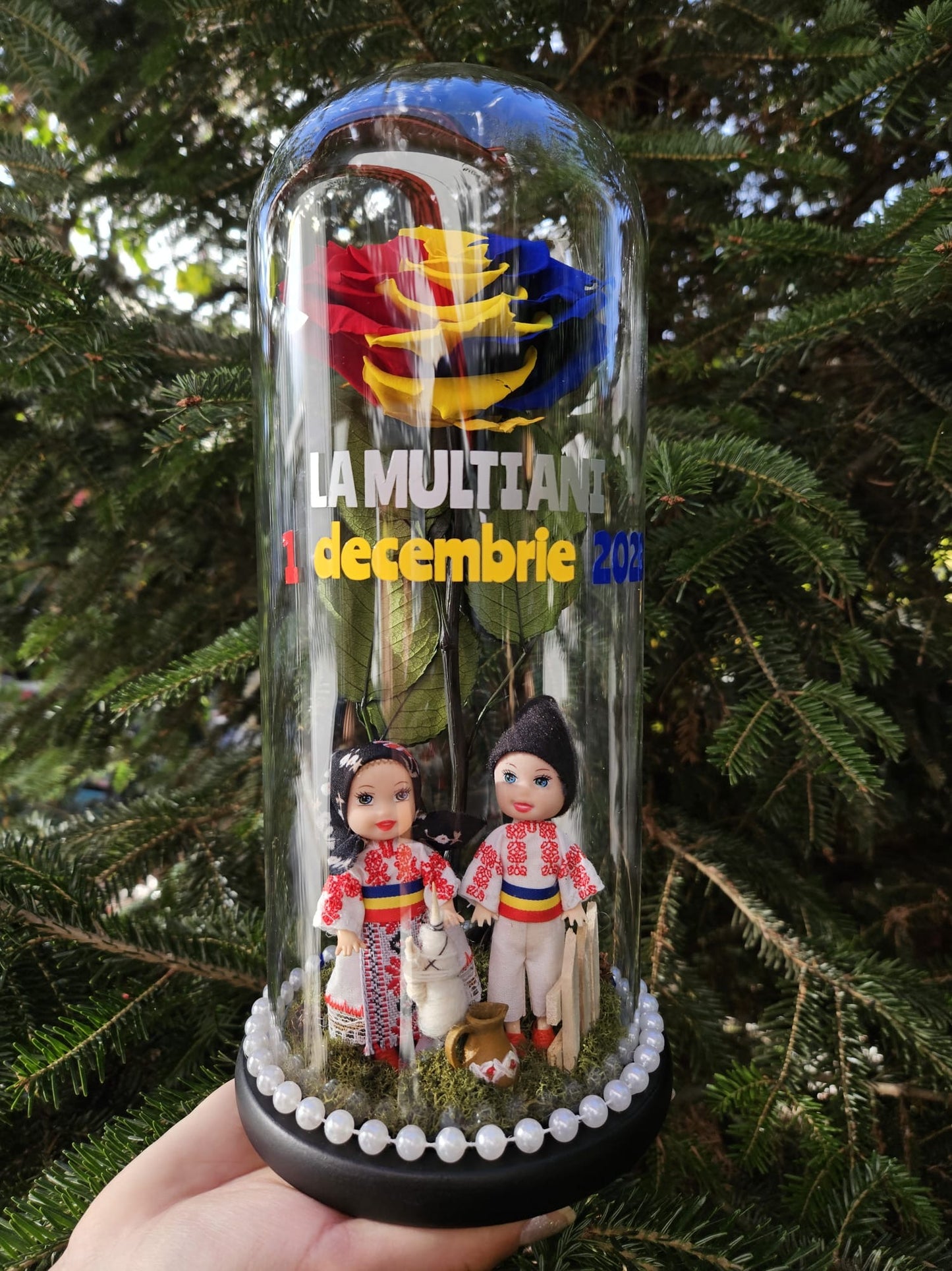 Cupolă de sticlă cu trandafir criogenat criogenat tricolor