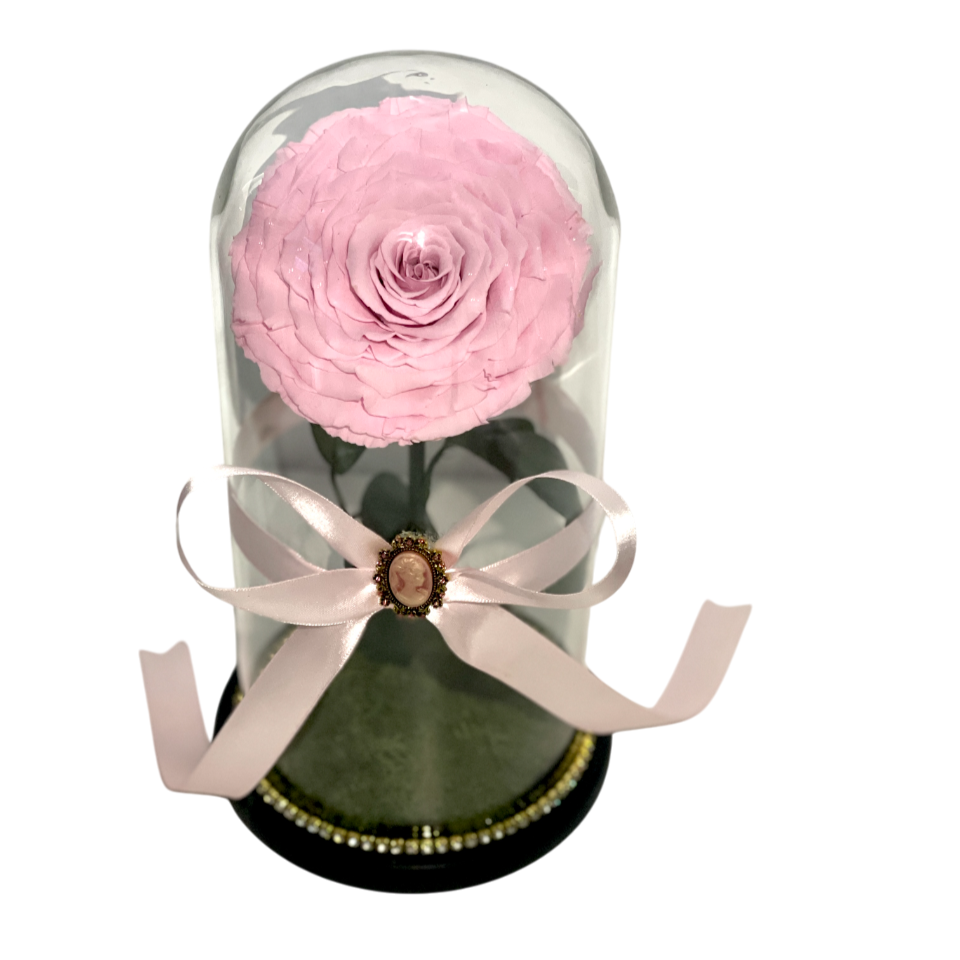 Cupolă de sticlă cu trandafir criogenat roz cherry blossom