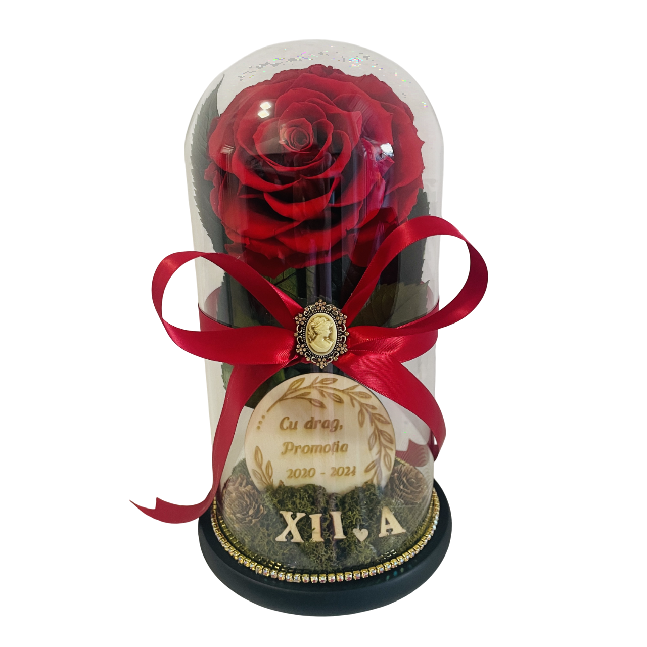 Cupolă de sticlă cu trandafir criogenat roșu antique ruby {dirigintă}