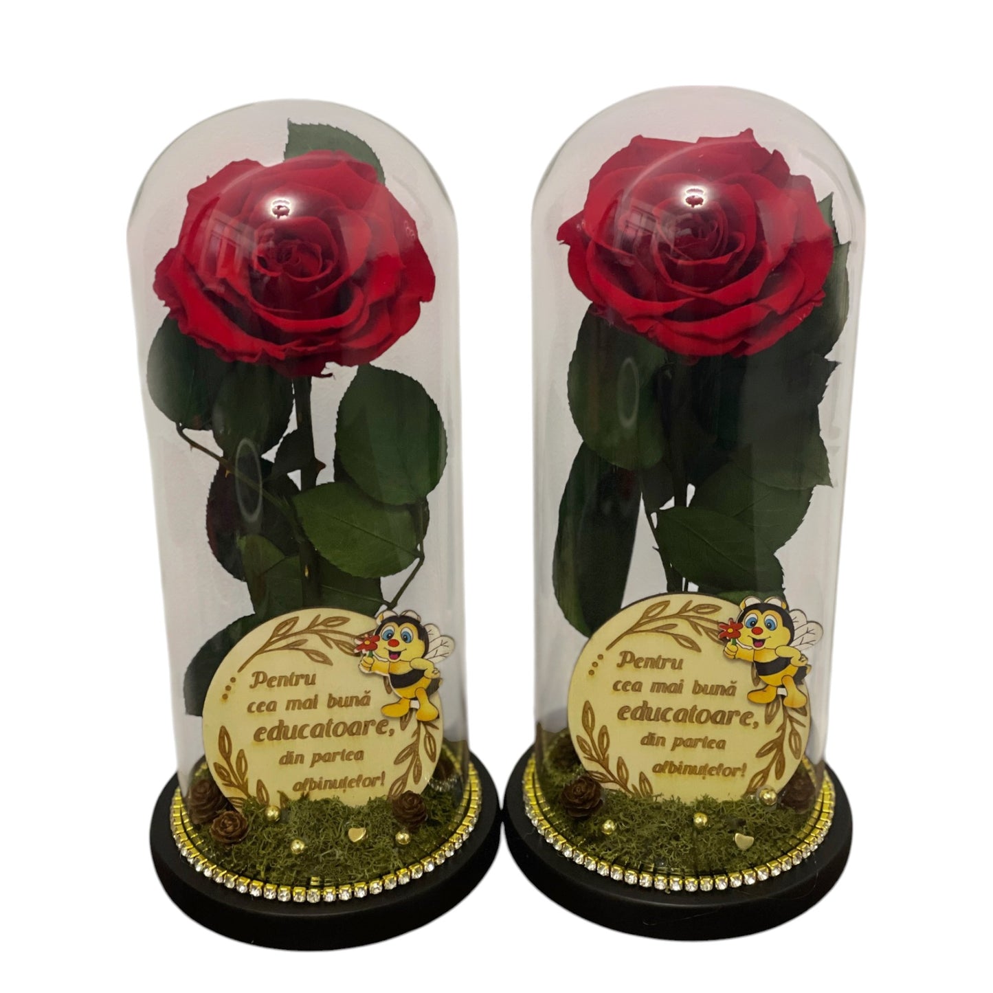 Set 2 buc de cupolă de sticlă cu trandafir criogenat roșu antique ruby {Educatoare}