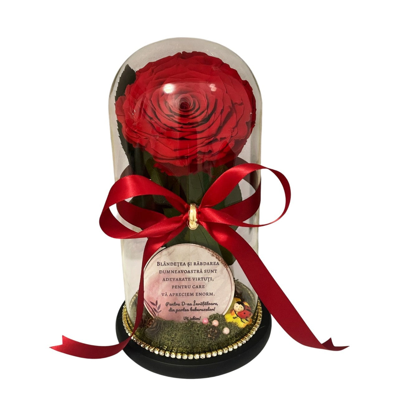 Cupolă de sticlă cu trandafir criogenat roșu antique ruby {Învăţătoare}
