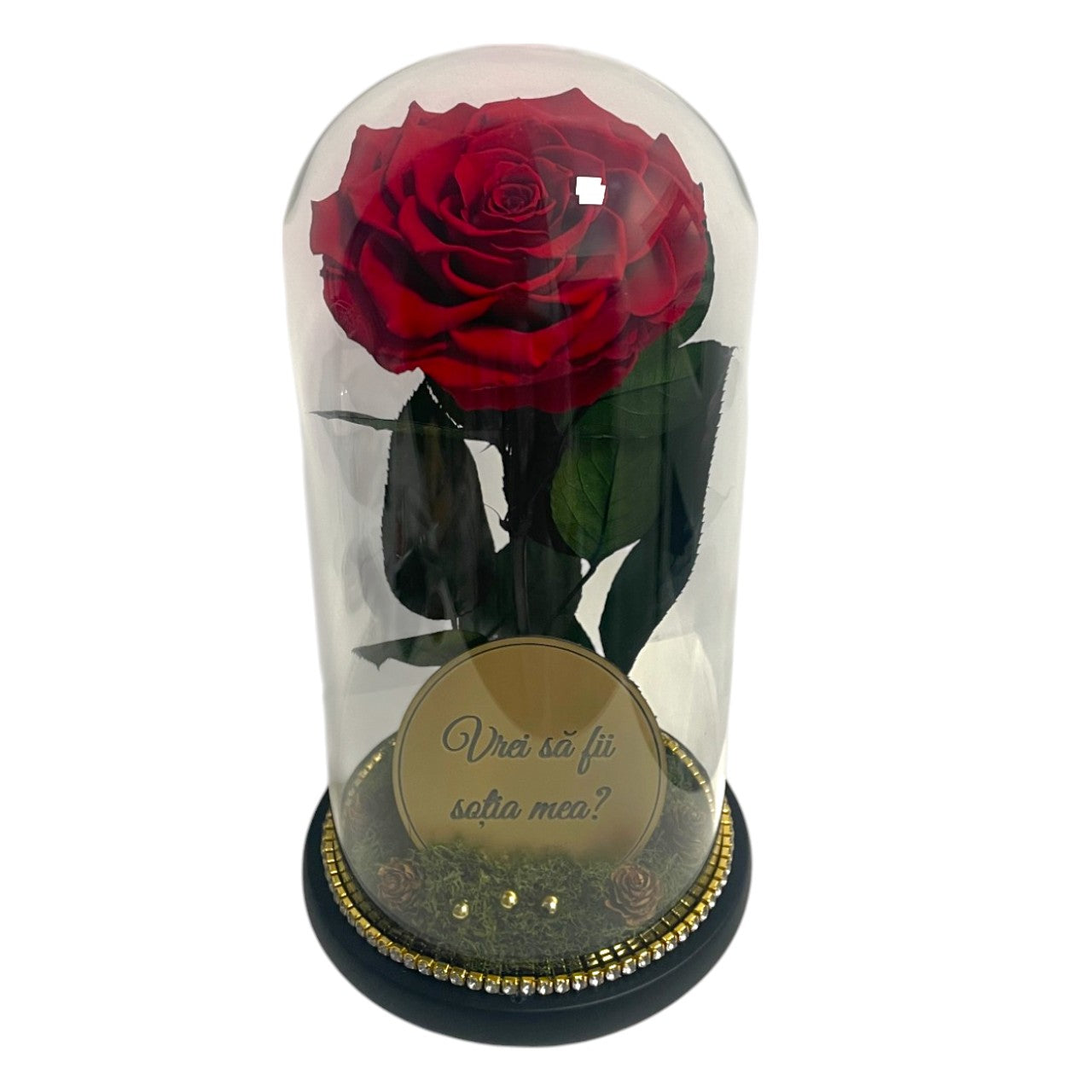 Cupolă de sticlă maxi cu trandafir criogenat roșu antique ruby (Cerere în căsătorie)