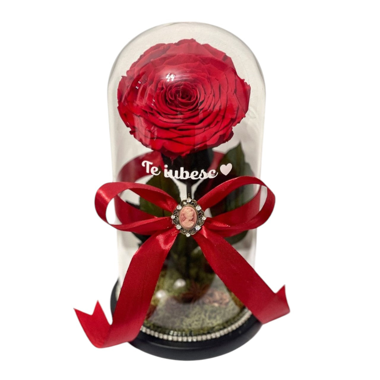 Cupolă de sticlă maxi cu trandafir criogenat roșu antique ruby (Te Iubesc)