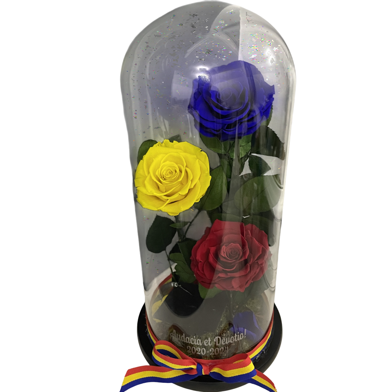 Cupolă de sticlă cu trei trandafiri criogenati tricolor