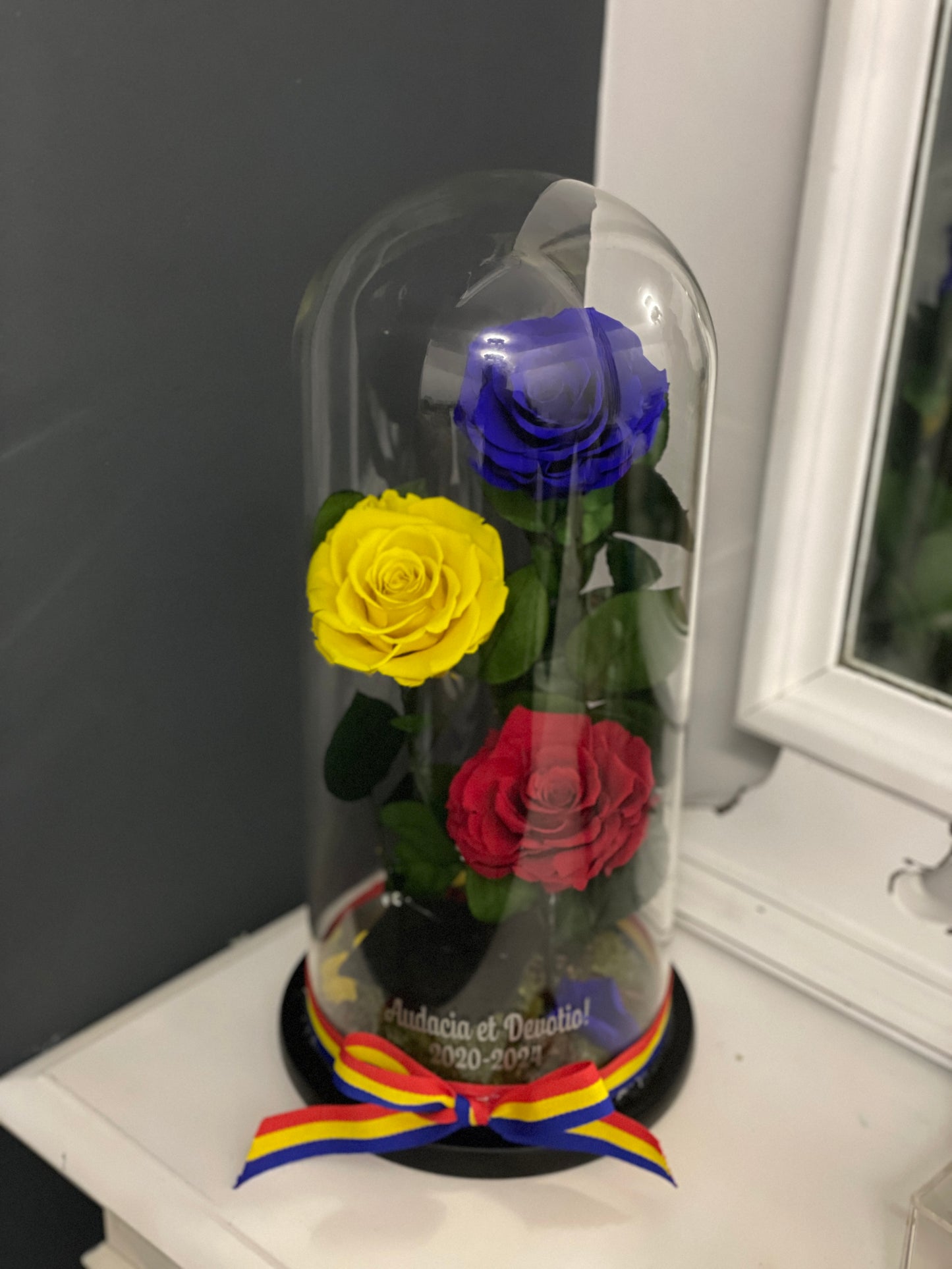Cupolă de sticlă cu trei trandafiri criogenati tricolor