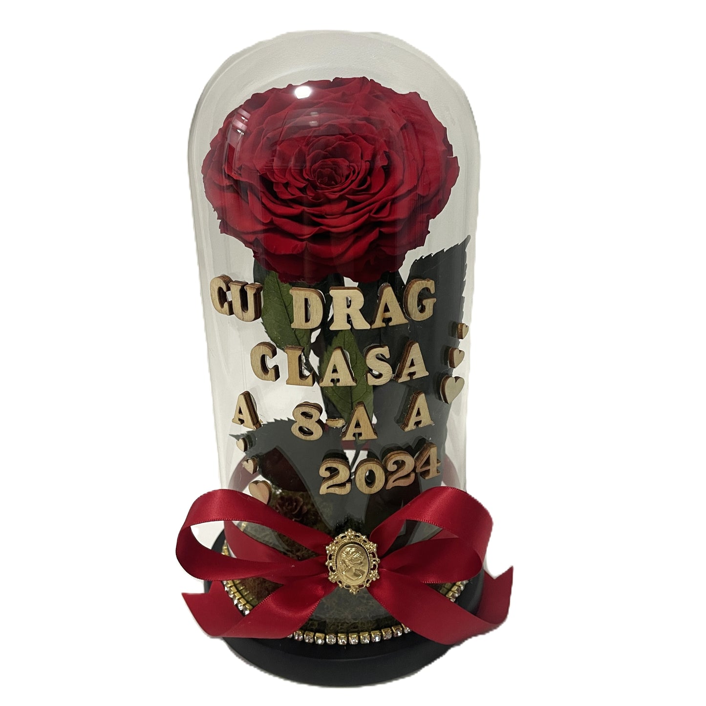 Cupolă de sticlă cu trandafir criogenat roșu antique ruby {dirigintă}