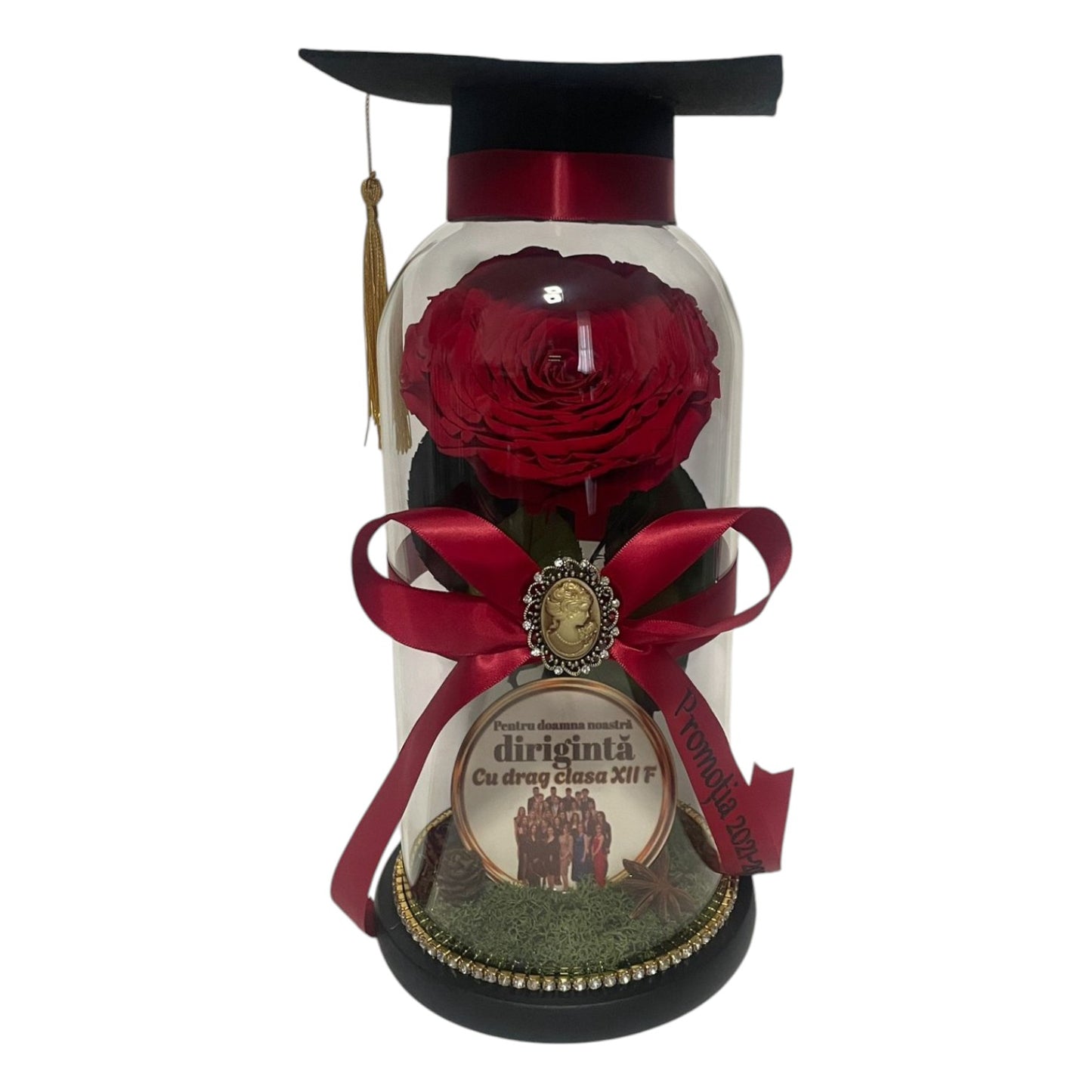 Cupolă de sticlă cu trandafir criogenat antique ruby (absolvire cu toca)